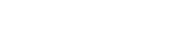 Memwize